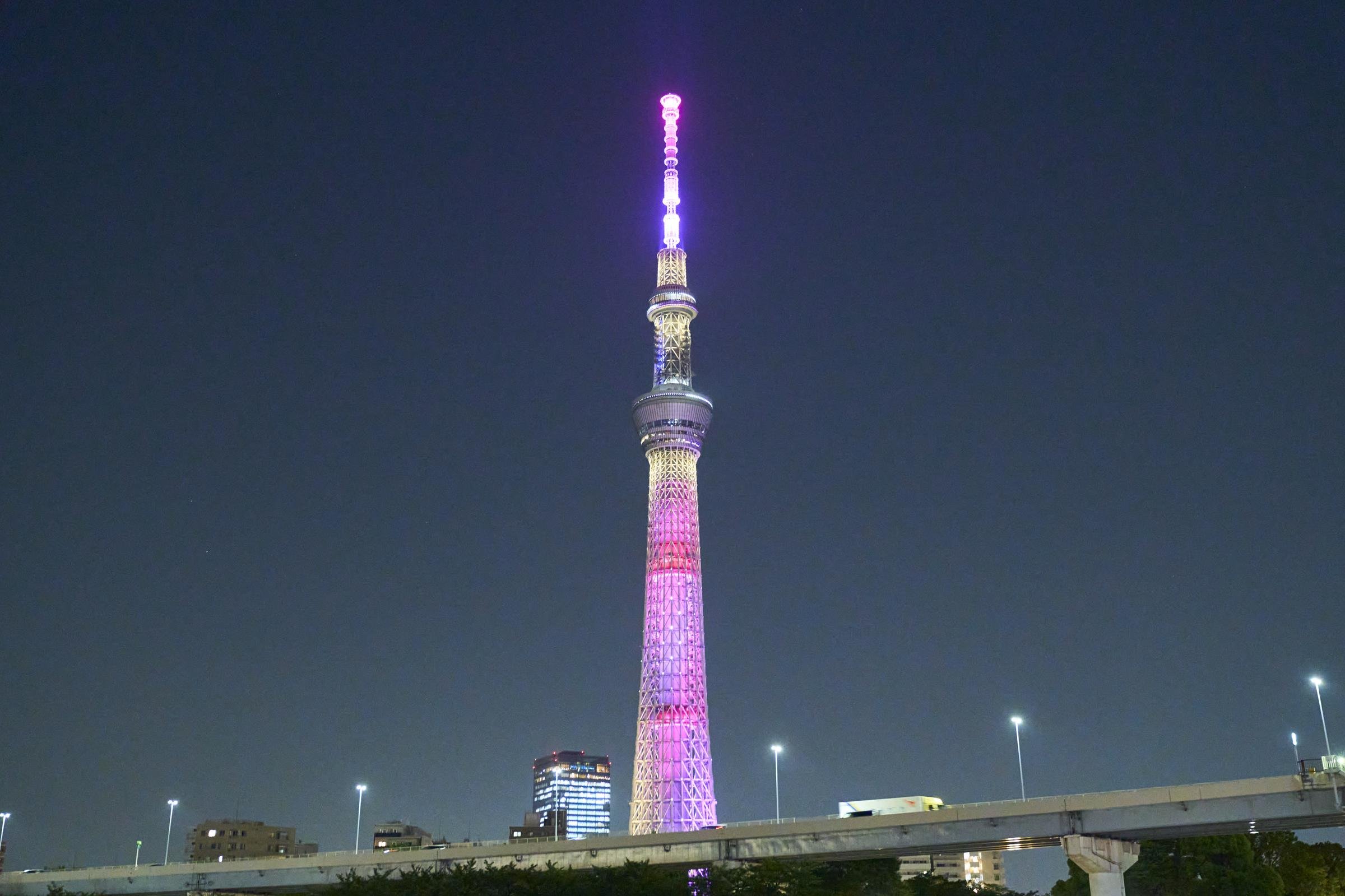 クルーズの終盤には、停泊して東京スカイツリーを眺められる