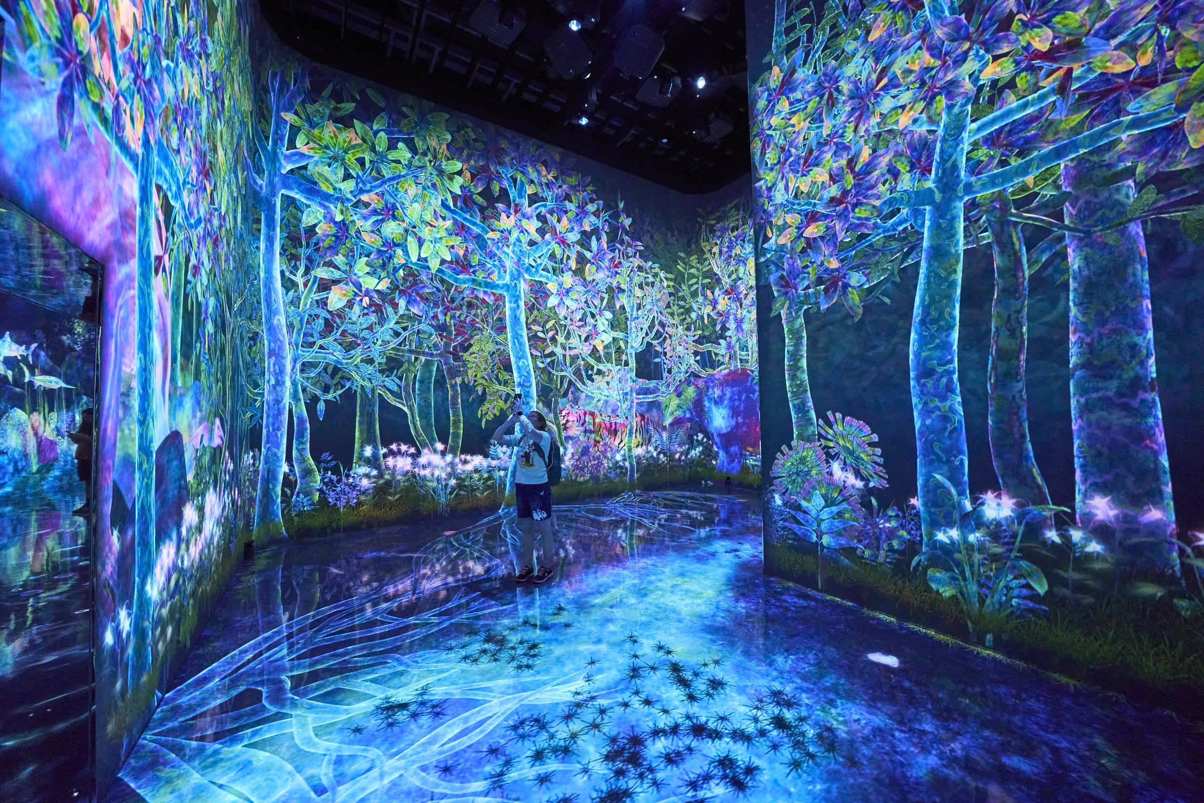 「つかまえて集める絶滅の森」