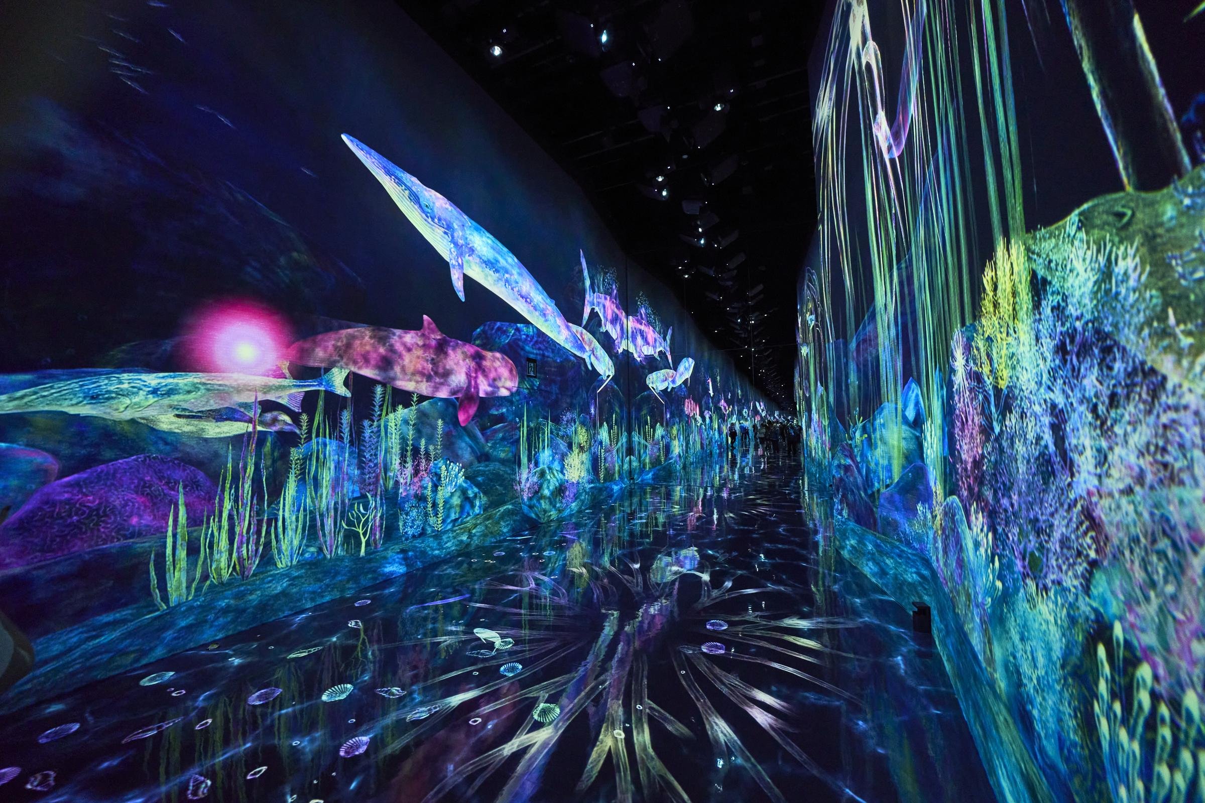 「つかまえて集める絶滅の森」