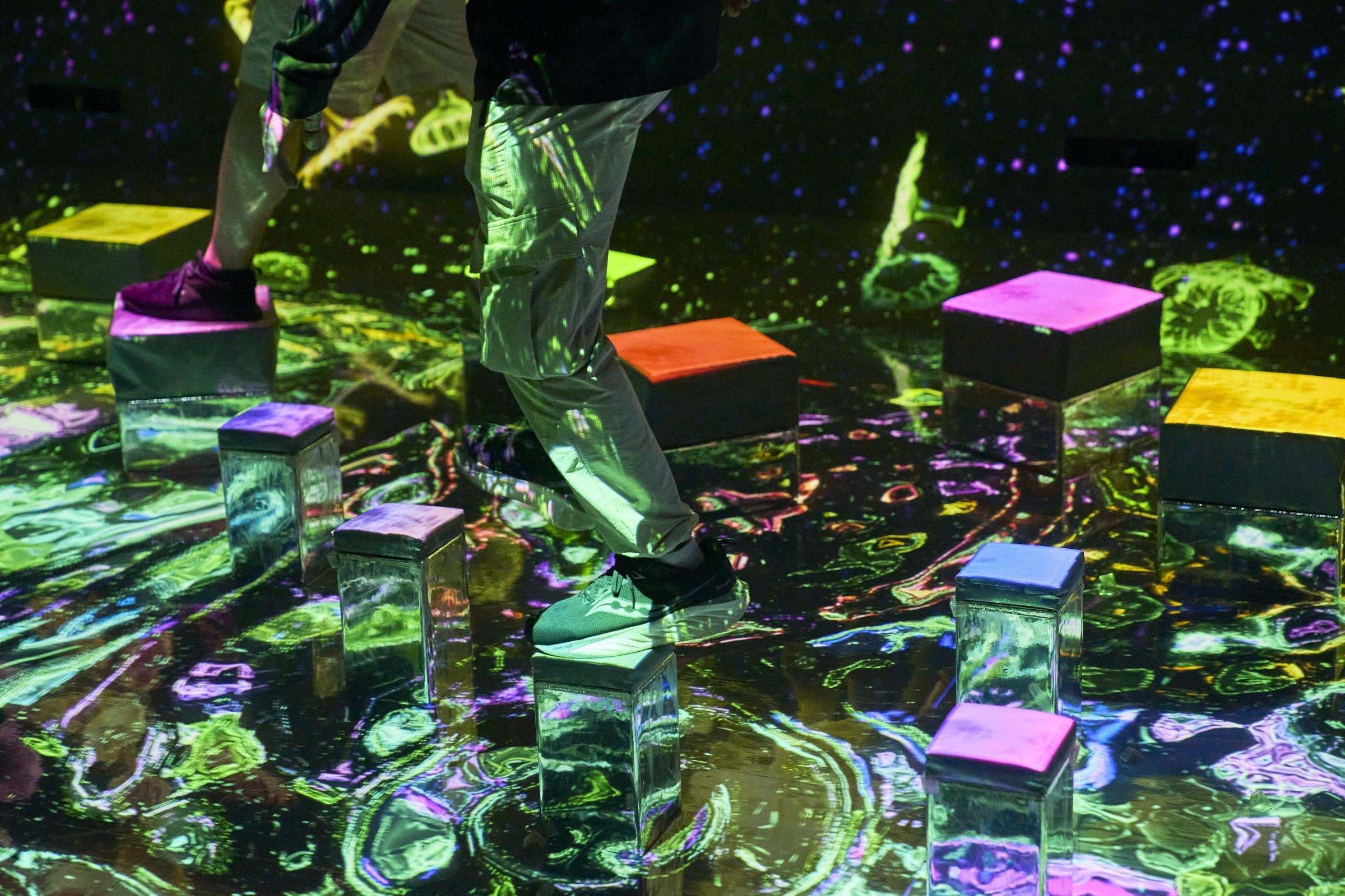 「インビジブルな世界のバランス飛石」