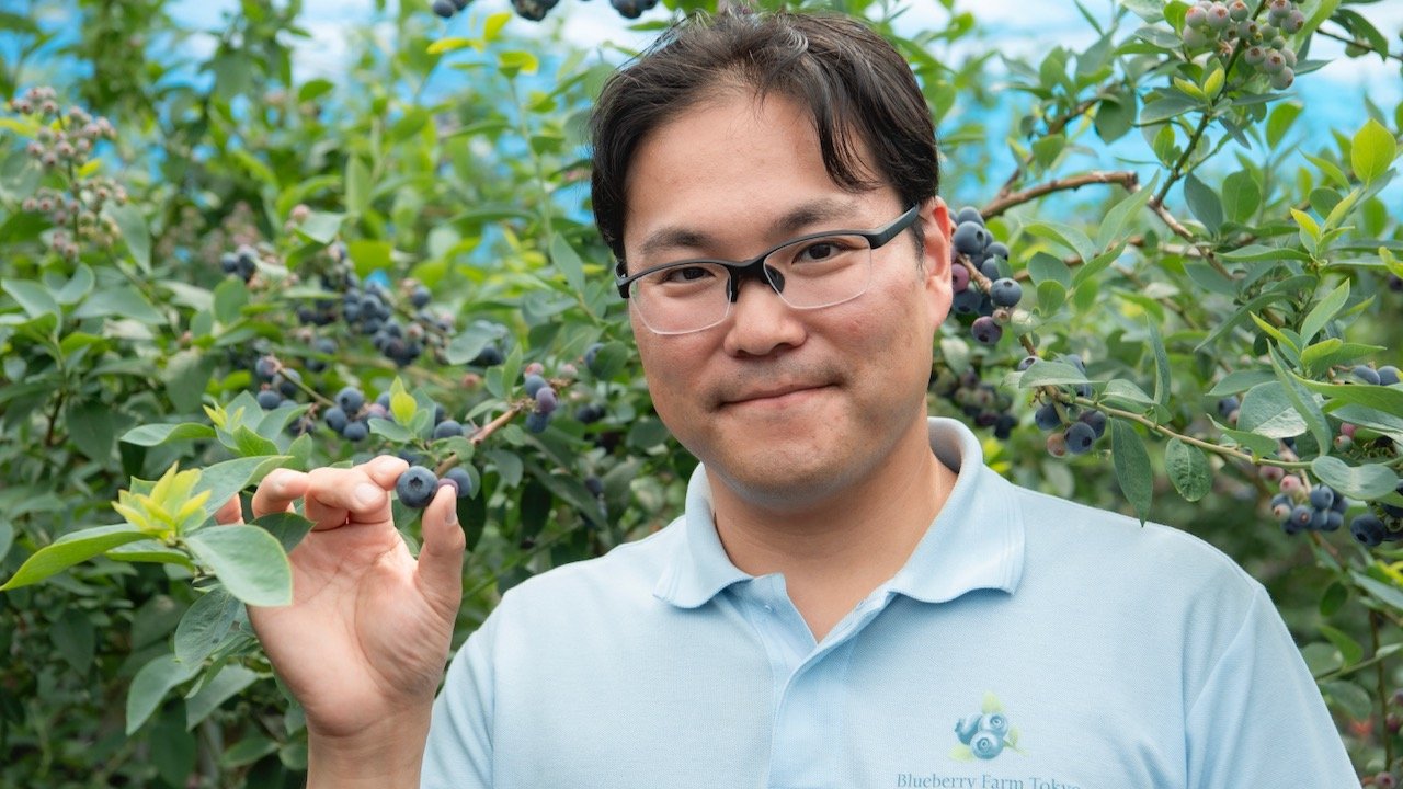 blueberry_top.jpeg