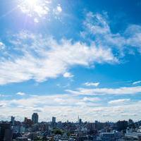 日本、2050年温室ガス実質ゼロへ：識者・企業に聞く 「これからの10年が勝負」（後編）の画像