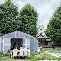 畑や農作物を通じ、人と人とをつなぐ次世代の都市型農業の画像