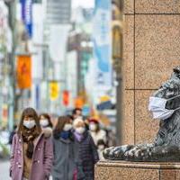日本のコロナ感染者急減、ワクチン集中接種で「集団免疫」効果も？の画像