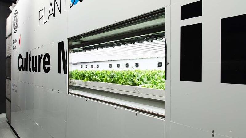 東京が植物工場の一大拠点に？　テクノロジーが導く「食と農業」の未来