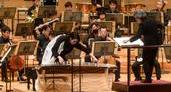 「箏で新たな伝統をつなぐ」──期待の若手・LEOが語る日本音楽の魅力の画像