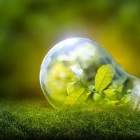 CO2削減に貢献　下水汚泥をグリーンエネルギーにの画像