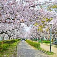 今の時代にぴったり！　デジタルで再現した上野恩賜公園を散策しようの画像