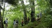 東京の大自然、2つの「都民の森」を知っていますか？の画像