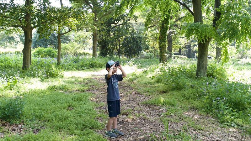 Correspondents' Eye on Tokyo:超近代都市TOKYOは野鳥たちのオアシスだった