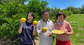 一次産業の流通革命を続ける女性起業家の画像