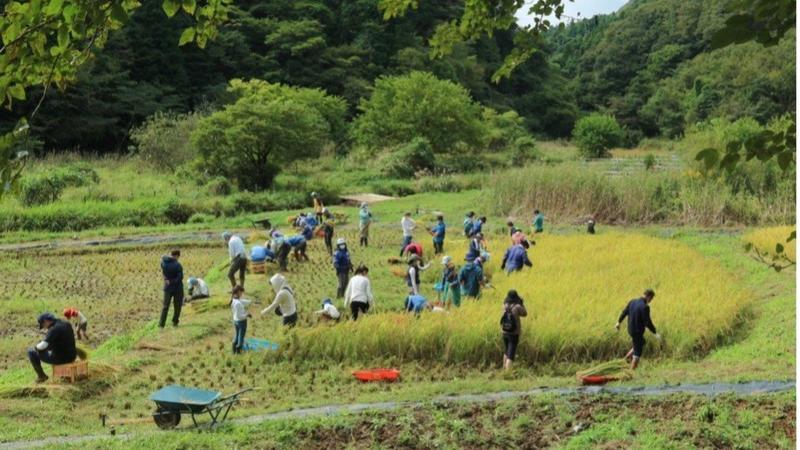 東京に残る豊かな自然の中で、気軽に里山体験