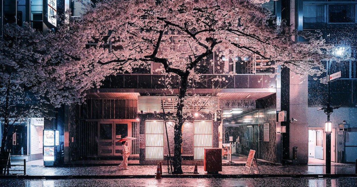 変わり続けるトーキョー、夜と雨の街 | TOKYO UPDATES