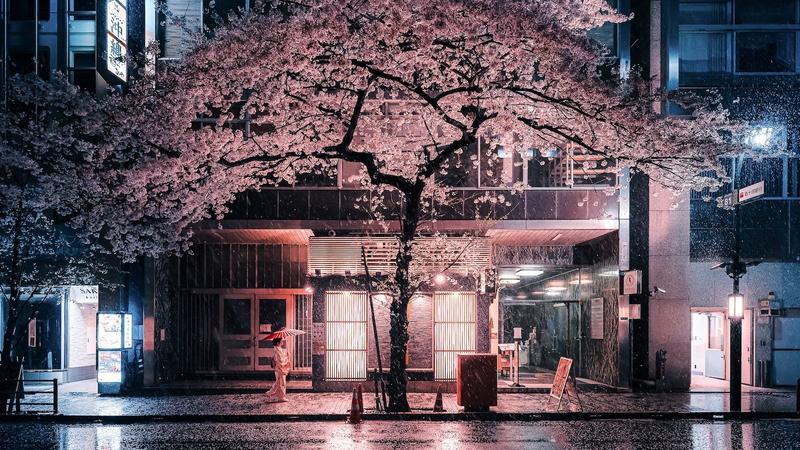 変わり続けるトーキョー、夜と雨の街