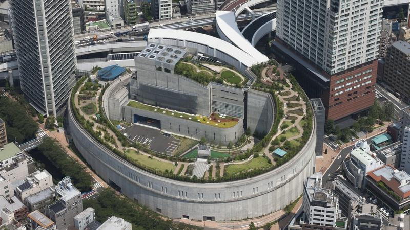 都心の天空に創出した緑地に多様な生物が共生