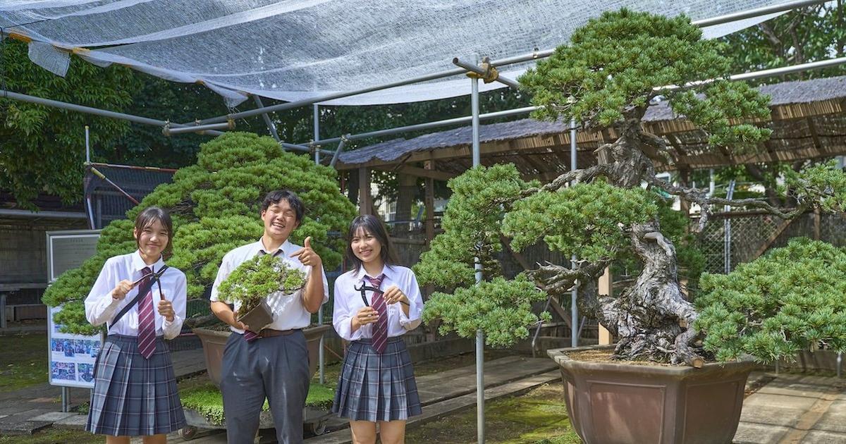 高等規範 盆栽の基本樹形 上 中津千吉 高等教範盆栽の基本樹形上下巻