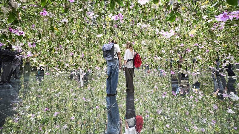 身体と精神に訴える新感覚アート、東京屈指の美術館で体験