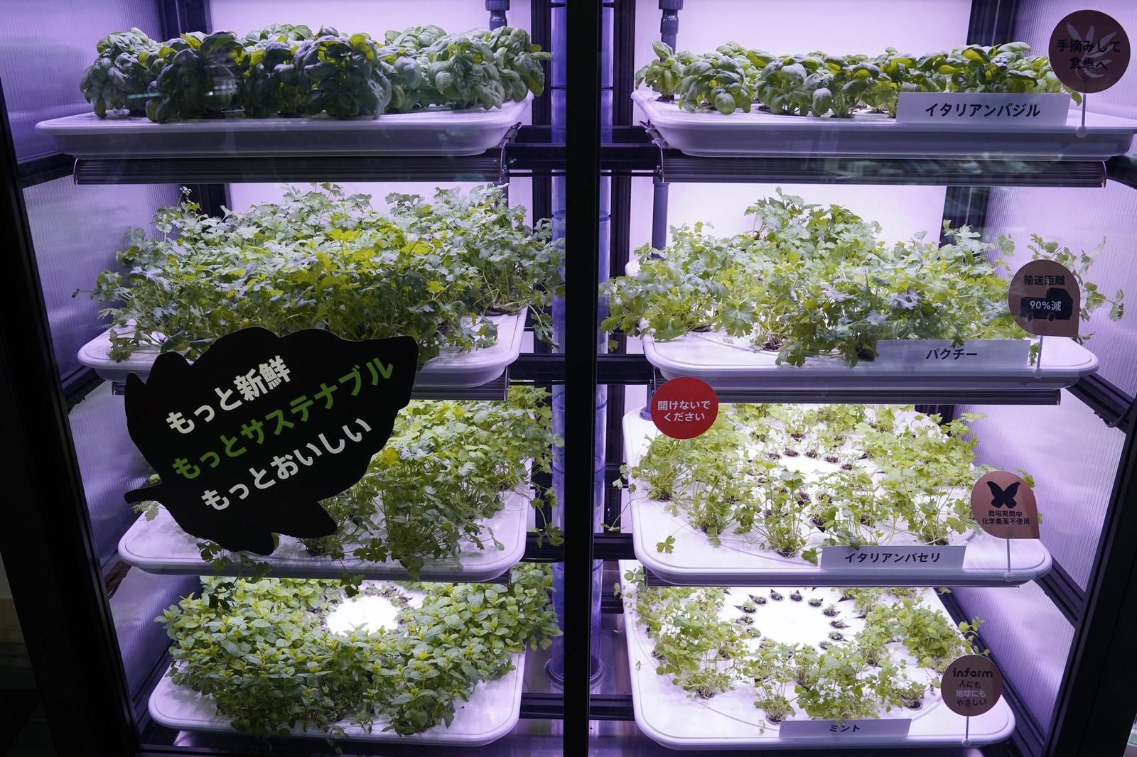 2-Infarm's-farming-unit-X-Kinokuniya-Aoyama-2.jpg