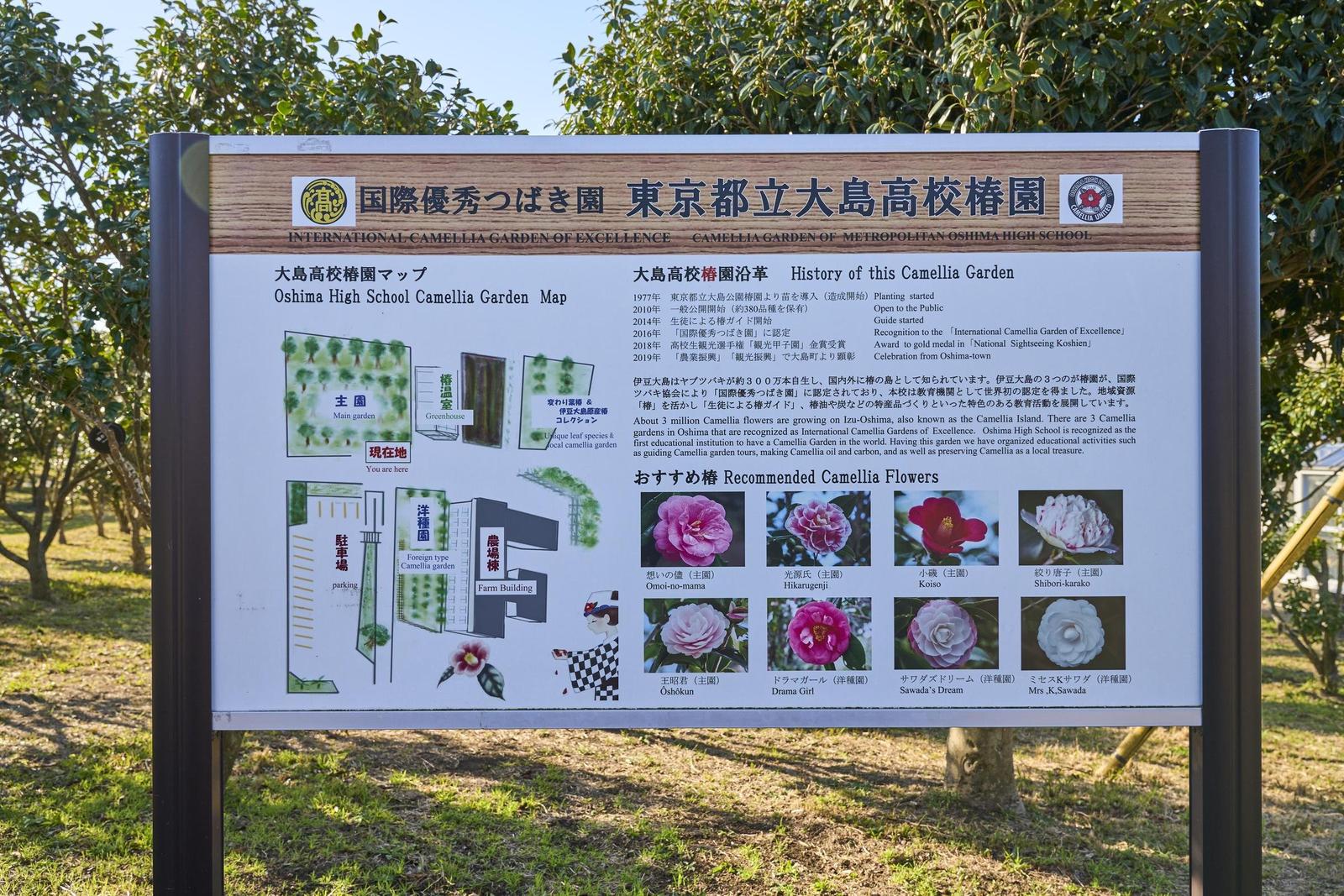 ooshima0113_0079 1.jpg