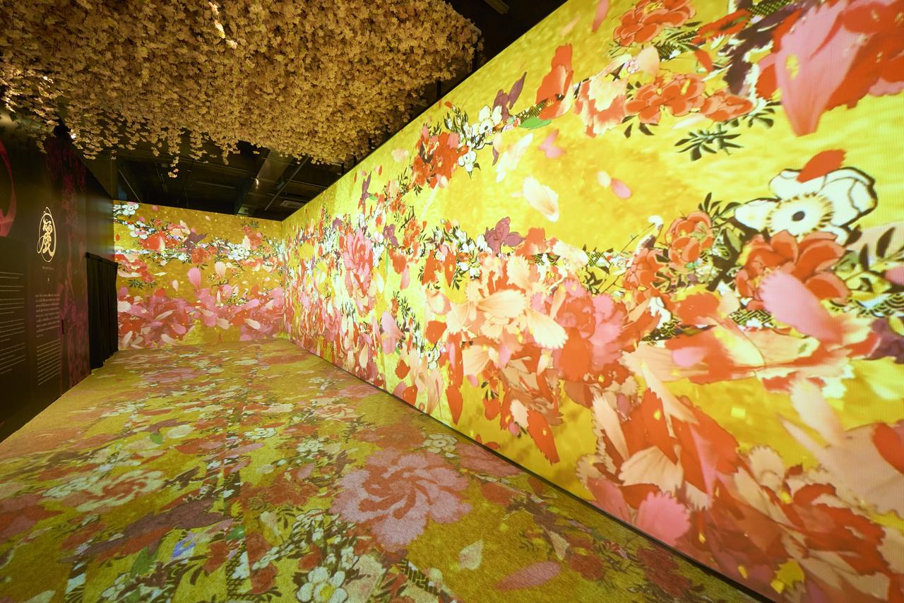 Vibrant flowers in the Beautiful room