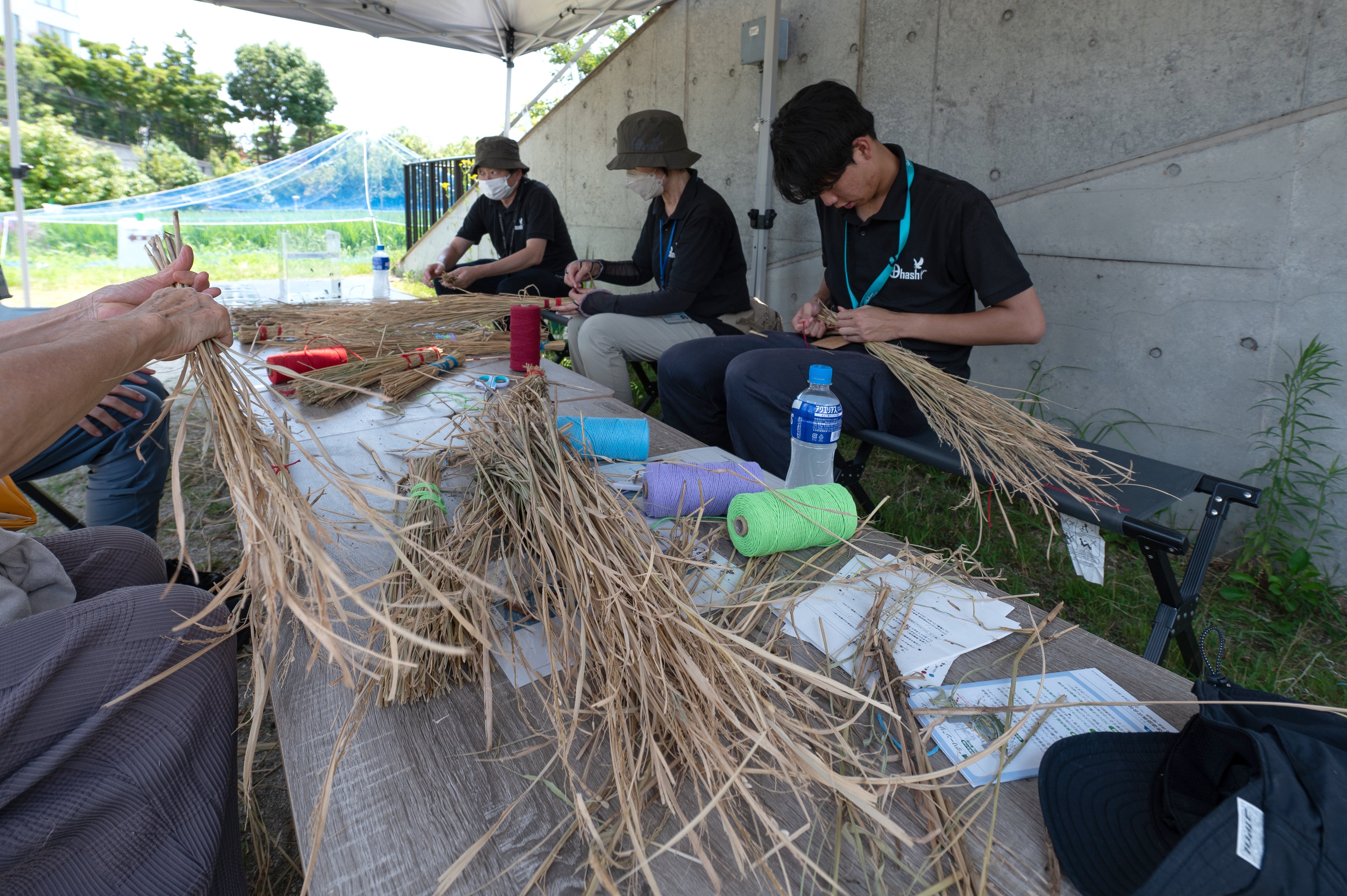 Making brooms from rice straw.