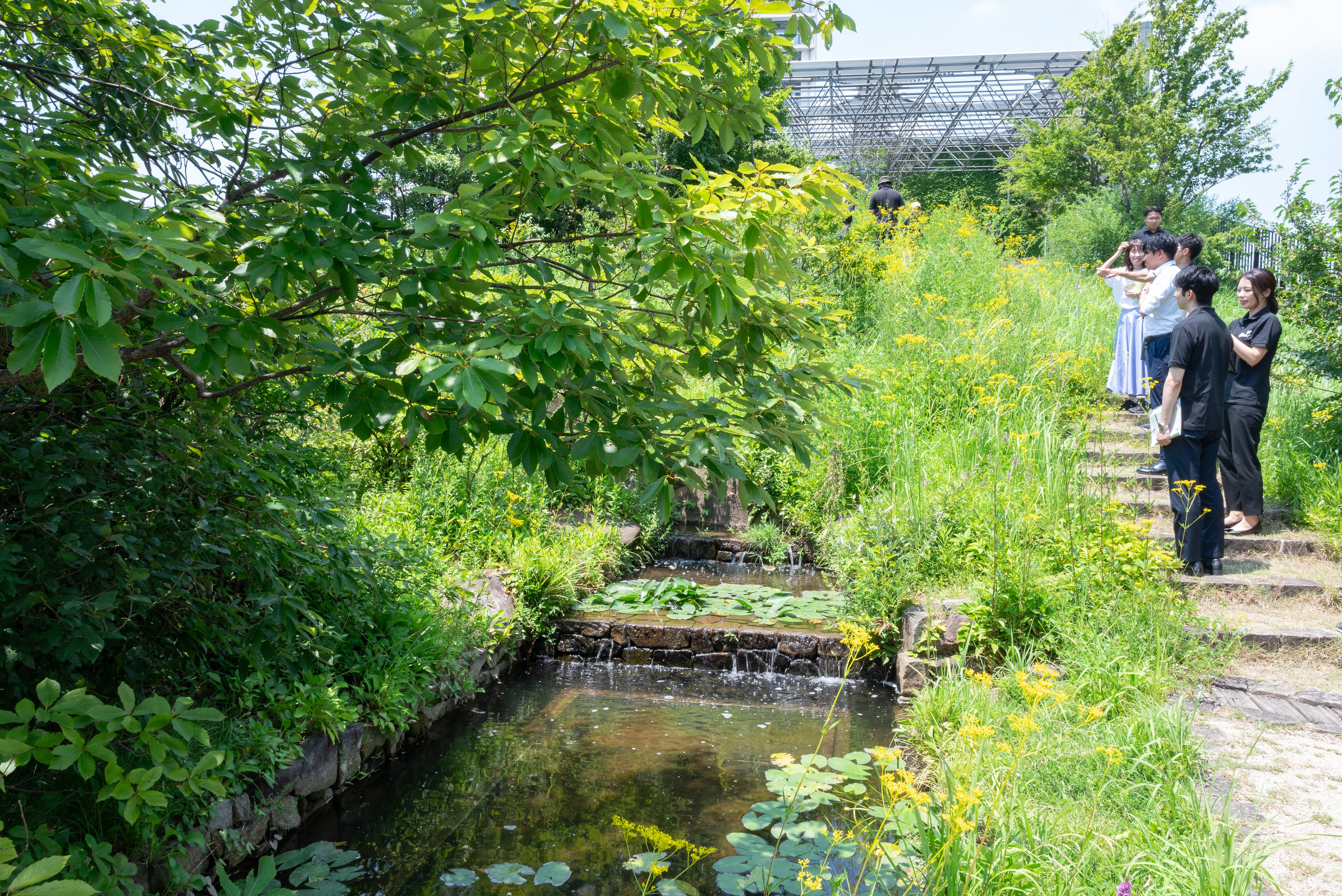 Stream in Ohashi Sato no Mori.