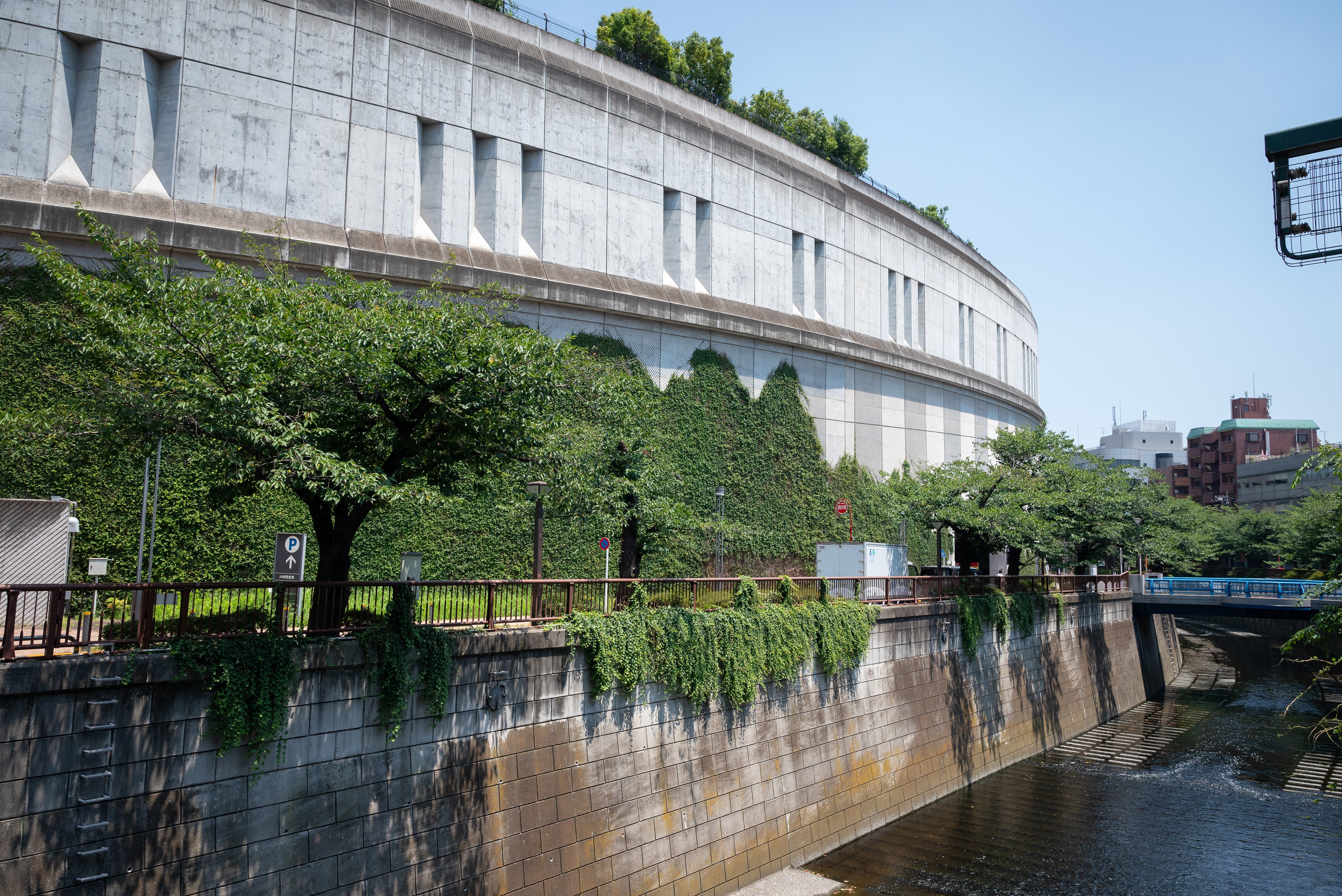 The wall of Ohashi Junction covered with creeping figs, blending with the Meguro River landscape.