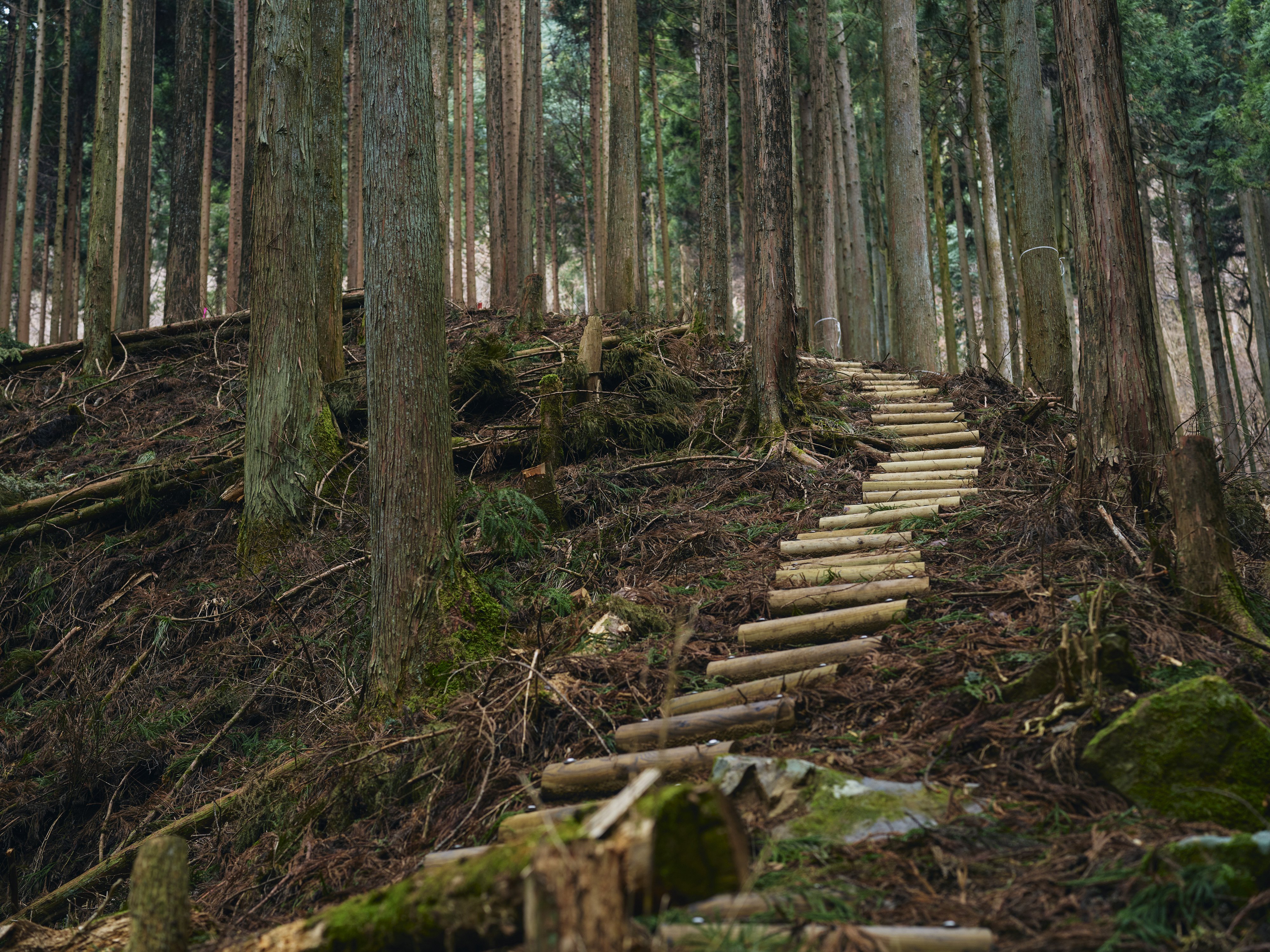 Hiking trail in Recreation Zone in Tsunagu Mori.
