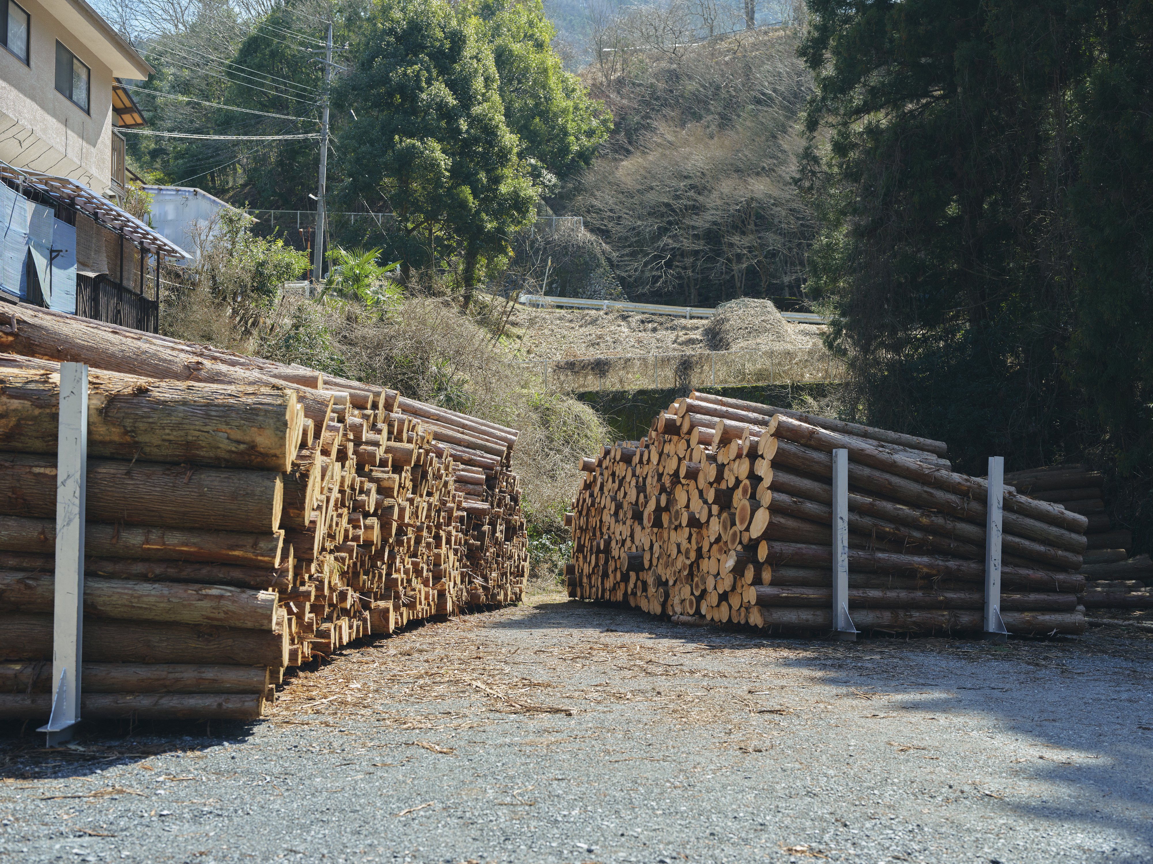 Storage area for logs from Tsunagu Mori. The logs are sorted into Class-A, B, C, and D.