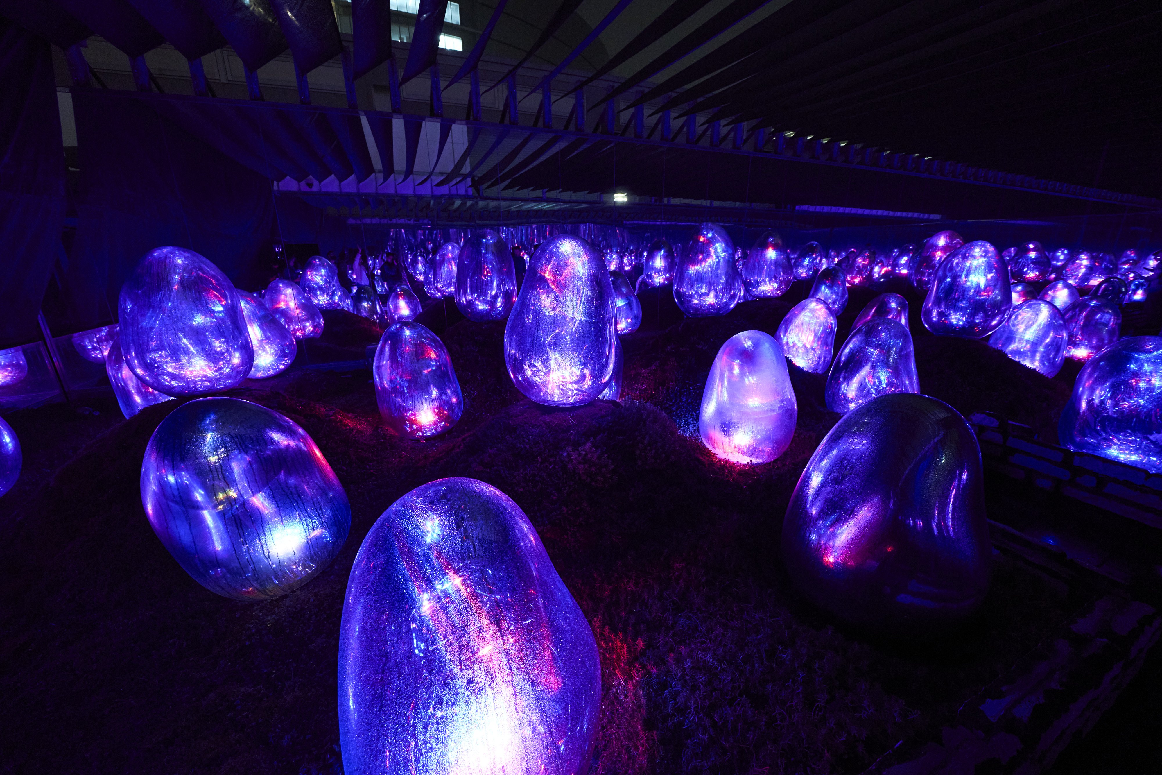 Moss Garden of Resonating Microcosms - Solidified Light Color, Dusk to Dawn.