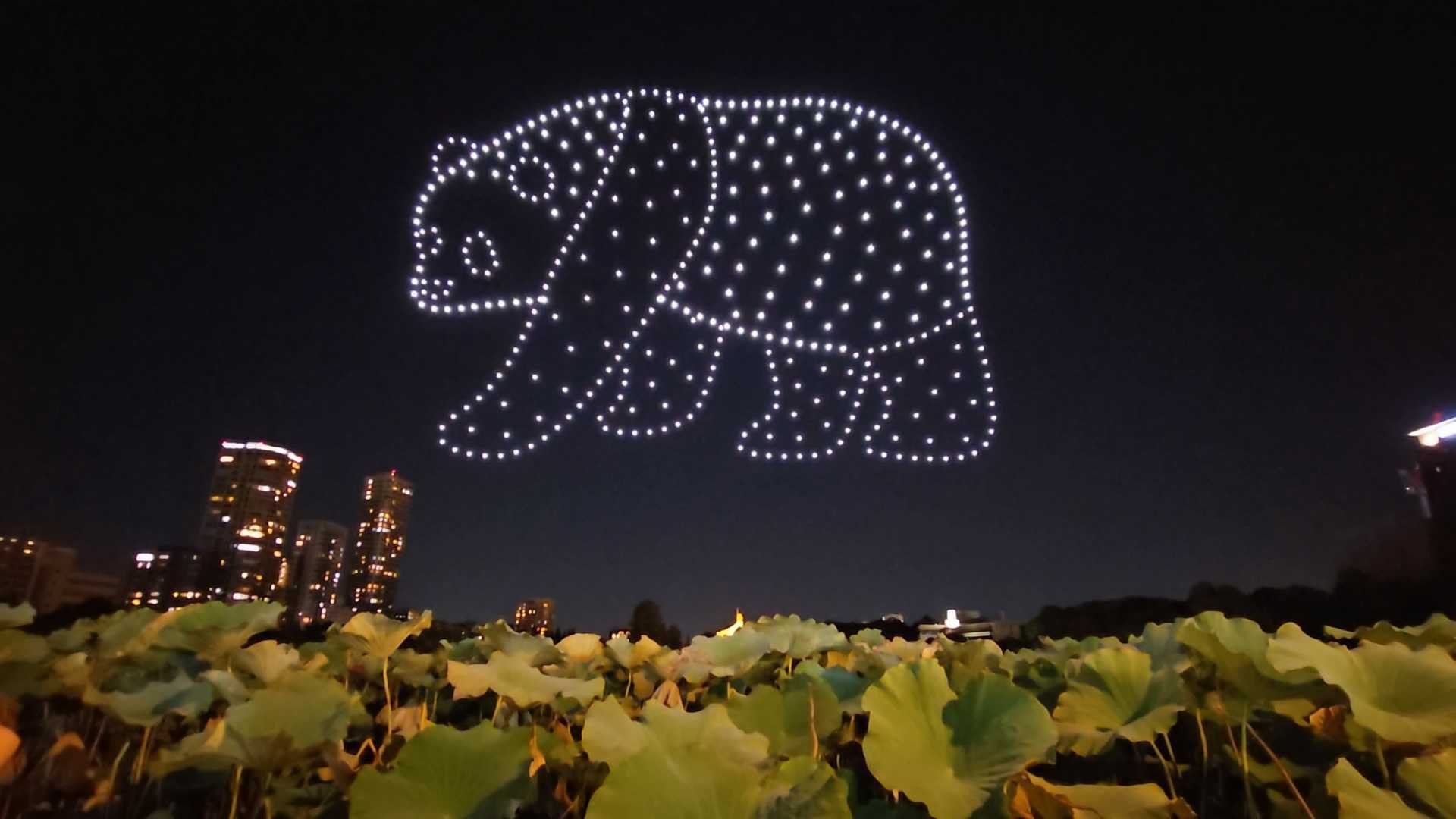 Panda-themed artwork created for Peace of Light.