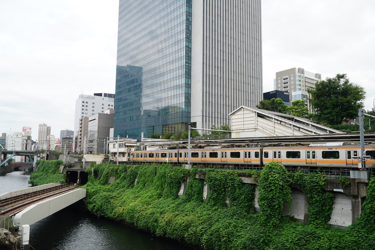 canal-train-kudzu.JPG