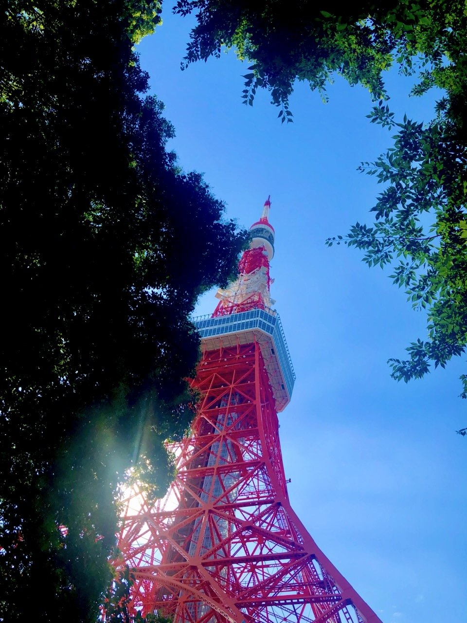 A84A5B02-59F6-4D04-93C5-603400D66D5E_1_201_a.jpeg