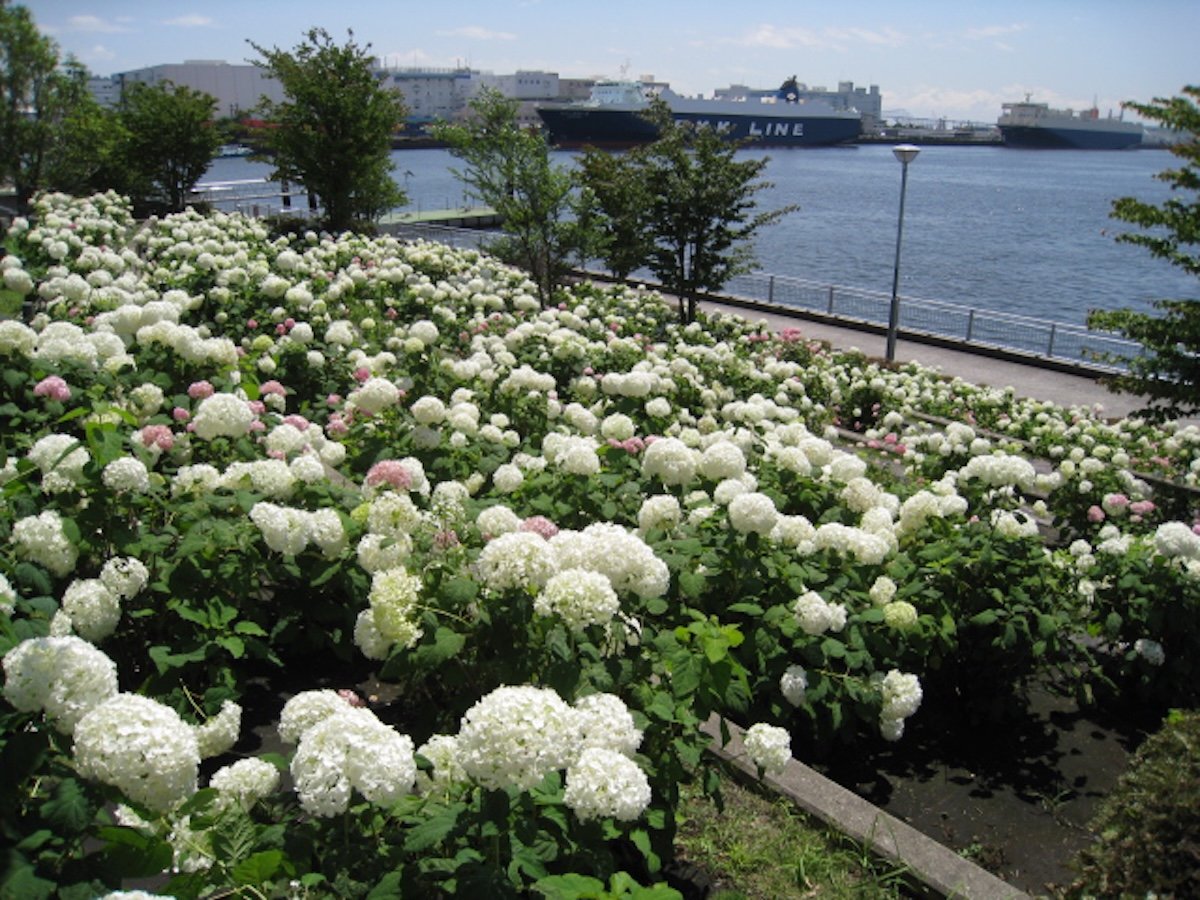 05_fukutoshin.JPG