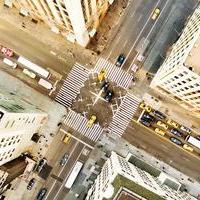 New York and Tokyo: Global Cities as Essential Hubs for Our Collective Futureの画像