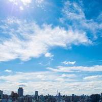 Japan's Path to Net Zero Greenhouse Gas Emissions by 2050: 