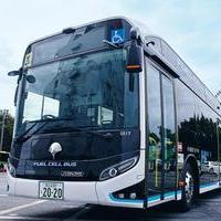 Going Greenの画像