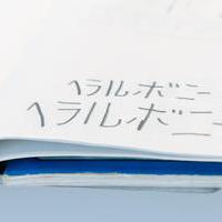 HERALBONY's Mission: Changing Society with the Art of Artists with Disabilities (Part 2)の画像