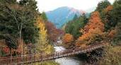 Escape to Nature in the Akigawa Valleyの画像