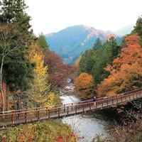 Escape to Nature in the Akigawa Valleyの画像