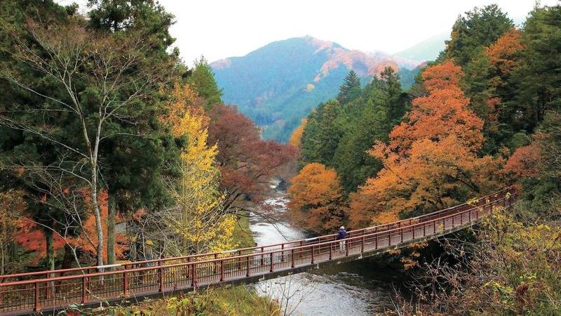 Escape to Nature in the Akigawa Valley