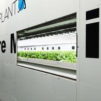 Tokyo to Become a Major Center for Plant Factories?の画像