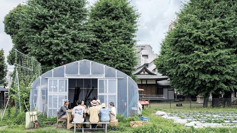 Next-Generation Urban Agriculture Connecting People Through Fields and Crops