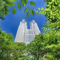 A Green Scenario for Tokyo Becoming a World-Leading 