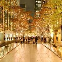 Bonding People Together Through Illuminationsの画像