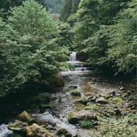The Spice: Wasabiの画像