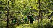 The 2,300 Rangers Protecting Mother Nature in Tokyoの画像