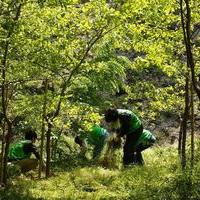 The 2,300 Rangers Protecting Mother Nature in Tokyoの画像