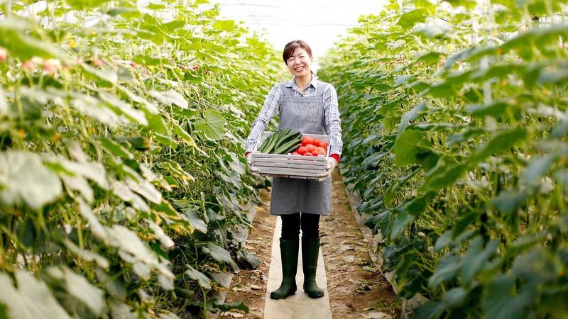 TOKYO NEO-FARMERS!, a New Coalition of Urban Farmers in Japan's Capital