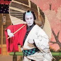 The Prince of Kabuki Theater a Rising Star Overseasの画像